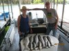 (05/17/2018) - Nice Striped Bass